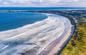 Newsletter No 78 - 8 October 2025