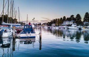 Newsletter No 85 - 9 October 2026